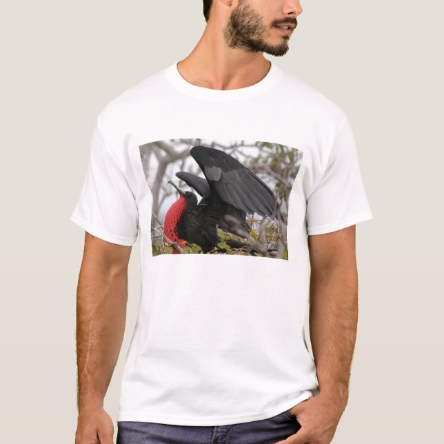 Camiseta Pájaro fragata magnífico (Anverso)