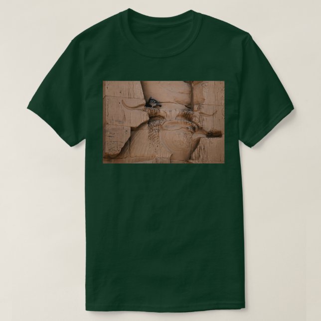 Camiseta Pájaro moderno Anciano (Diseño del anverso)