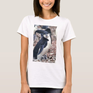 Camiseta Pájaro Pingüino Animal Lindo Negro Blanco Agua