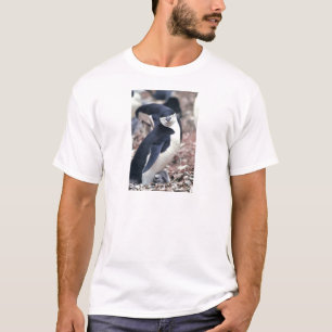 Camiseta Pájaro pingüino animal morado agua blanca negra