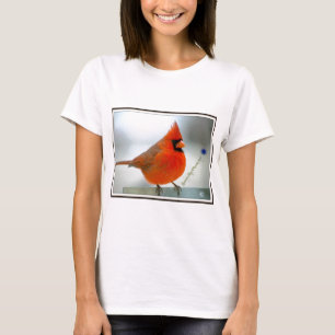 Camiseta Pájaro rojo cardinal