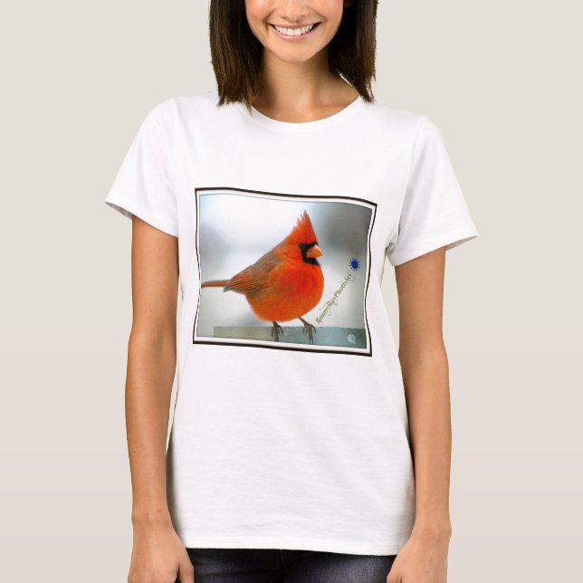 Camiseta Pájaro rojo cardinal (Anverso)