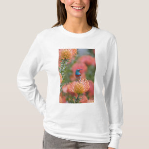 Camiseta Pájaro sol doble collar mayor