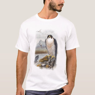 Camiseta Pájaros de Juan Gould del halcón de peregrino de
