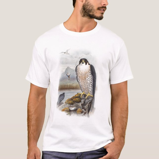 Camiseta Pájaros de Juan Gould del halcón de peregrino de (Anverso)