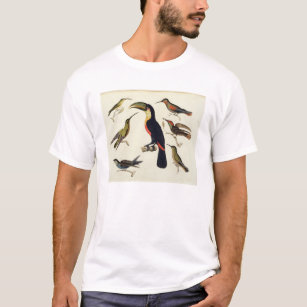 Camiseta Pájaros nativos, incluyendo el Toucan (centro),