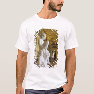 Camiseta Palacio de Invierno y Museo del Hermitage
