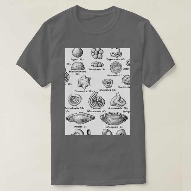 Camiseta Paleontólogos de los fósiles (Diseño del anverso)