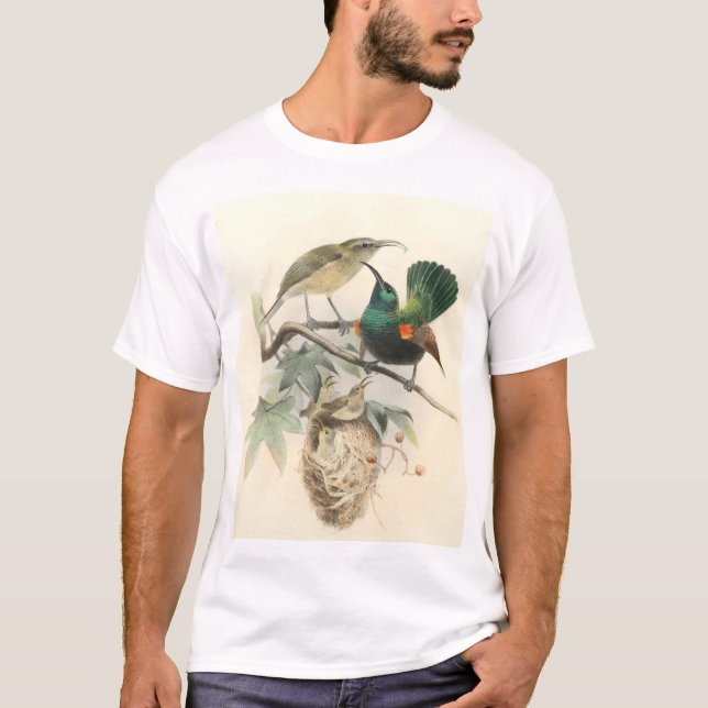 Camiseta Palestine Sunbird, una familia (Anverso)