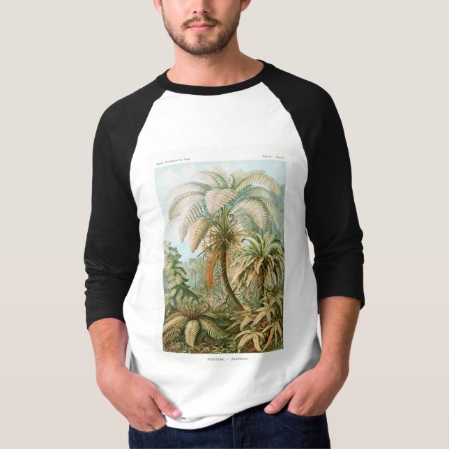 Camiseta Palm Tree Ernst Haeckel (Anverso)