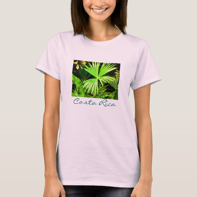 Camiseta palma, Costa Rica, (Anverso)