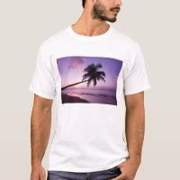 Palmera solitaria al atardecer, playa Coconut Grov