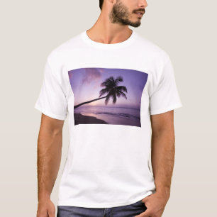 Camiseta palmera solitaria al atardecer, playa Coconut Grov