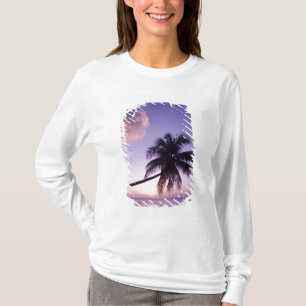 Camiseta Palmera solitaria al atardecer, playa Coconut Grov