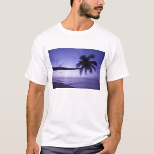 Camiseta Palmera solitaria al atardecer, playa Coconut Grov