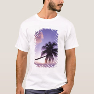 Camiseta Palmera solitaria al atardecer, playa Coconut Grov