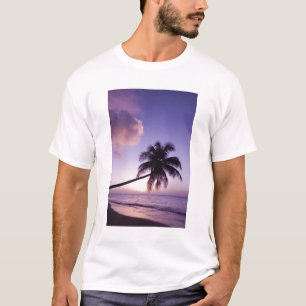 Camiseta Palmera solitaria al atardecer, playa de Coconut G