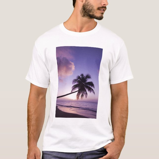 Camiseta Palmera solitaria al atardecer, playa de Coconut G (Anverso)