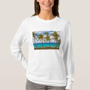 Camiseta Palmeras de coco (Cocos nucifera) balanceándose en