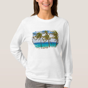Camiseta Palmeras de coco (Cocos nucifera) balanceándose en