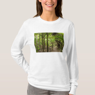 Camiseta Palmeras Nikau, Heaphy Track, cerca de Karamea,