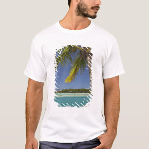 Camiseta Palmeras y laguna, Musket Cove Island Resort