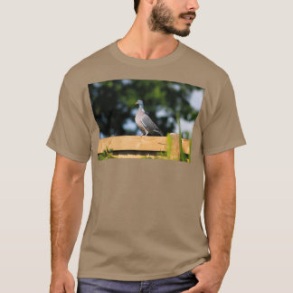 Camiseta Paloma de madera en la valla del jardín