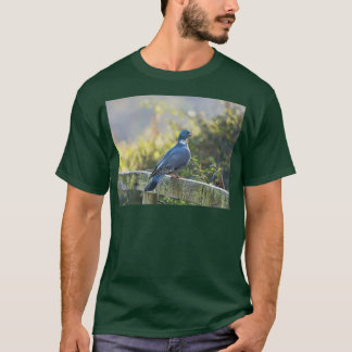 Camiseta Paloma de madera en los humedales de Seaton 1