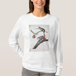 Camiseta Paloma de pasajero, de 'pájaros de America