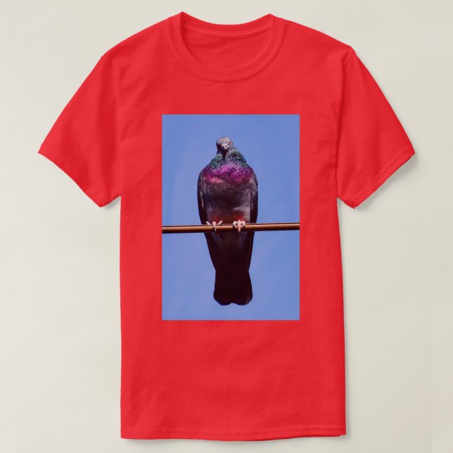 Camiseta paloma dignifica 2 (Diseño del anverso)