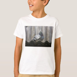 Camiseta Paloma en el techo.