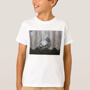 Camiseta Paloma en el techo.