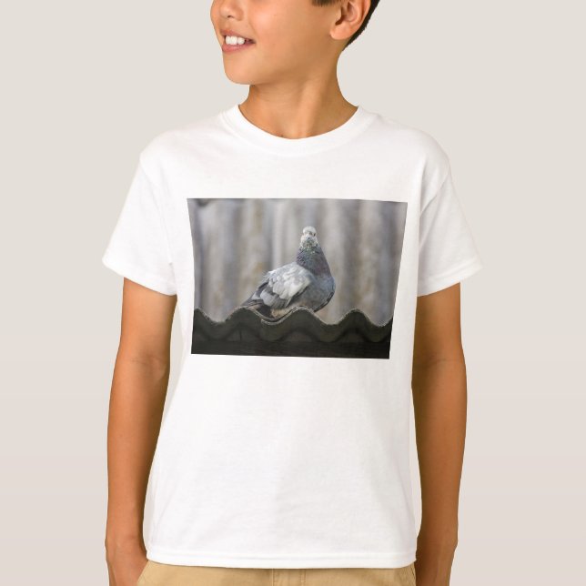 Camiseta Paloma en el techo. (Anverso)