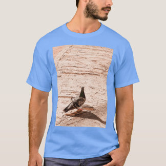 Camiseta paloma en la calle