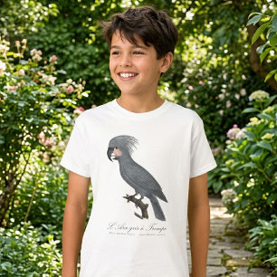 Camiseta Paloma negra de palma, Probosciger aterrimus
