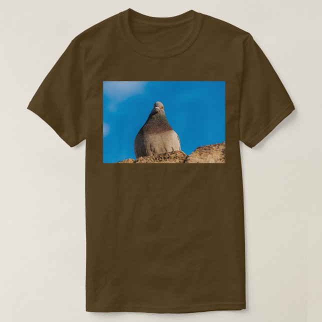 Camiseta Paloma sentada en una pared de piedra (Diseño del anverso)