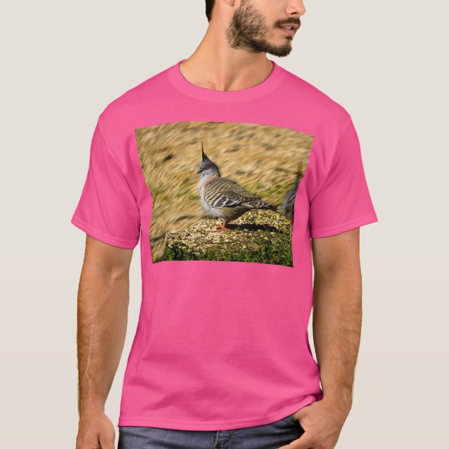 Camiseta Paloma silvestre (Anverso)