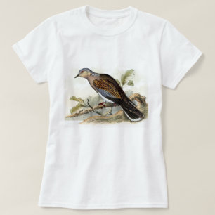 Camiseta Paloma Tórtola Streptopelia Pintura Naturaleza Ave