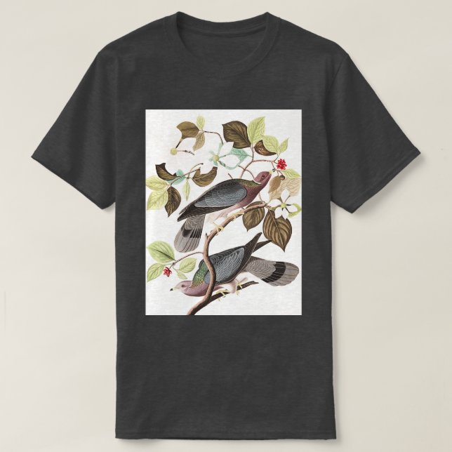 Camiseta Paloma transversal 2 (Diseño del anverso)