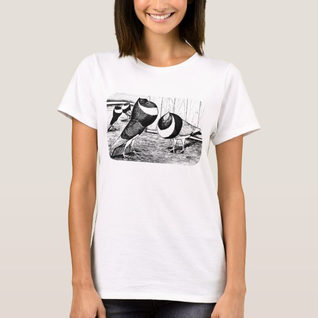 Camiseta Palomas de Aachen Band Cropper (Anverso)