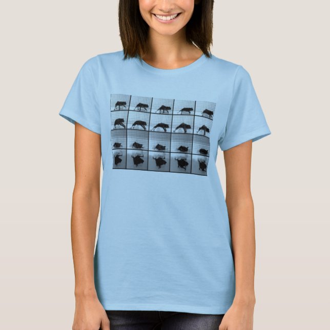 Camiseta palos en camino (Anverso)
