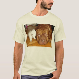 Camiseta pals del gatito del boxeador del aspca