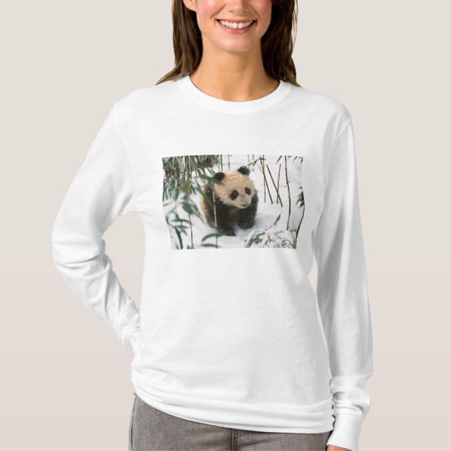 Camiseta Panda cub en la nieve, Wolong, Sichuan, China (Anverso)