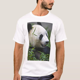 Camiseta Panda gigante