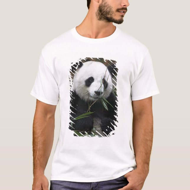 Camiseta Panda gigante (Anverso)