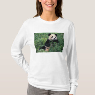 Camiseta Panda gigante en la hierba, Valle de Wolong, Sichu