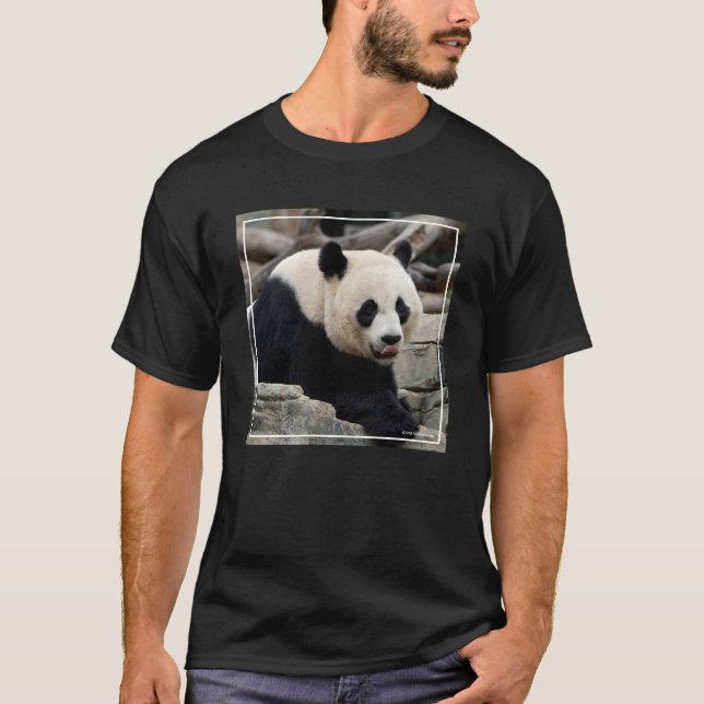 Camiseta Panda gigante en rocas (Anverso)