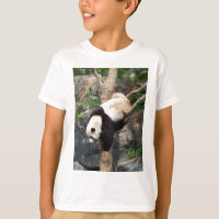 Panda gigante que sube abajo el árbol
