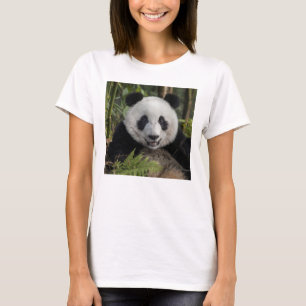 Camiseta Panda joven feliz, China