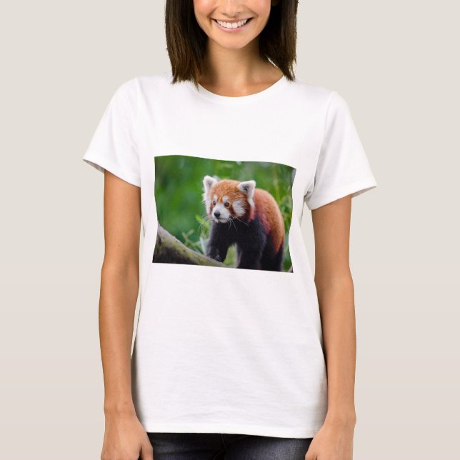 Camiseta Panda roja (Anverso)